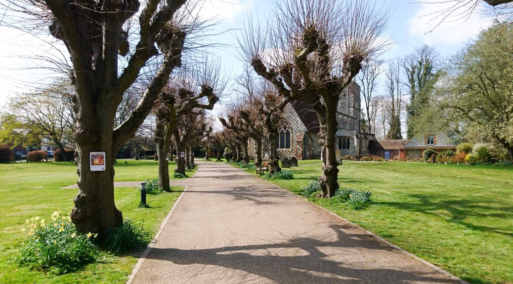 2020 Stations of the Cross